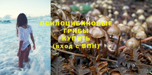 а пвп мука Алексеевка