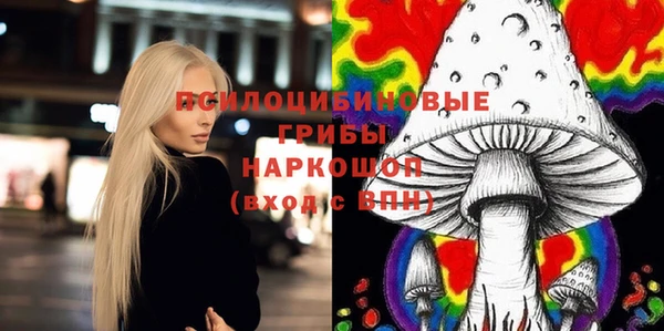прущие грибы Алзамай
