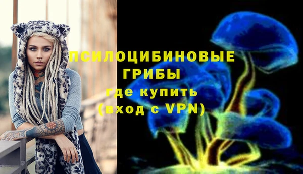 а пвп мука Алексеевка