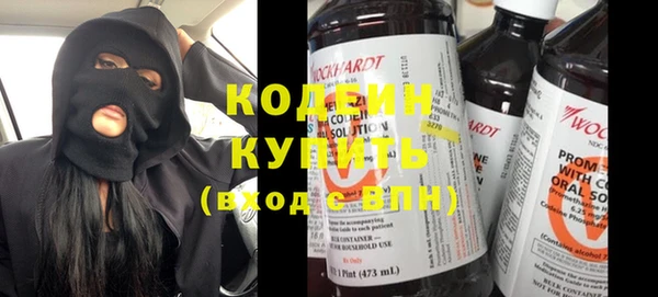 прущие грибы Алзамай