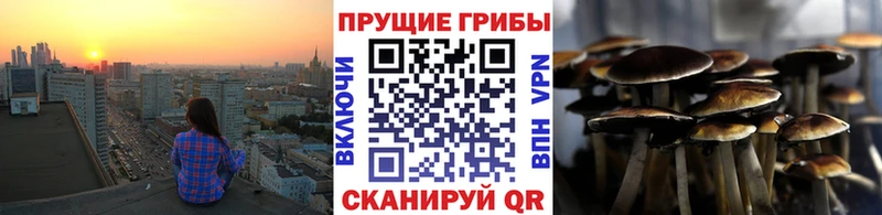 Псилоцибиновые грибы Psilocybe  закладка  Кемь 